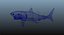 Grand requin