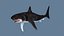 Grand requin