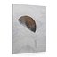 Skylab Wall Art PBR