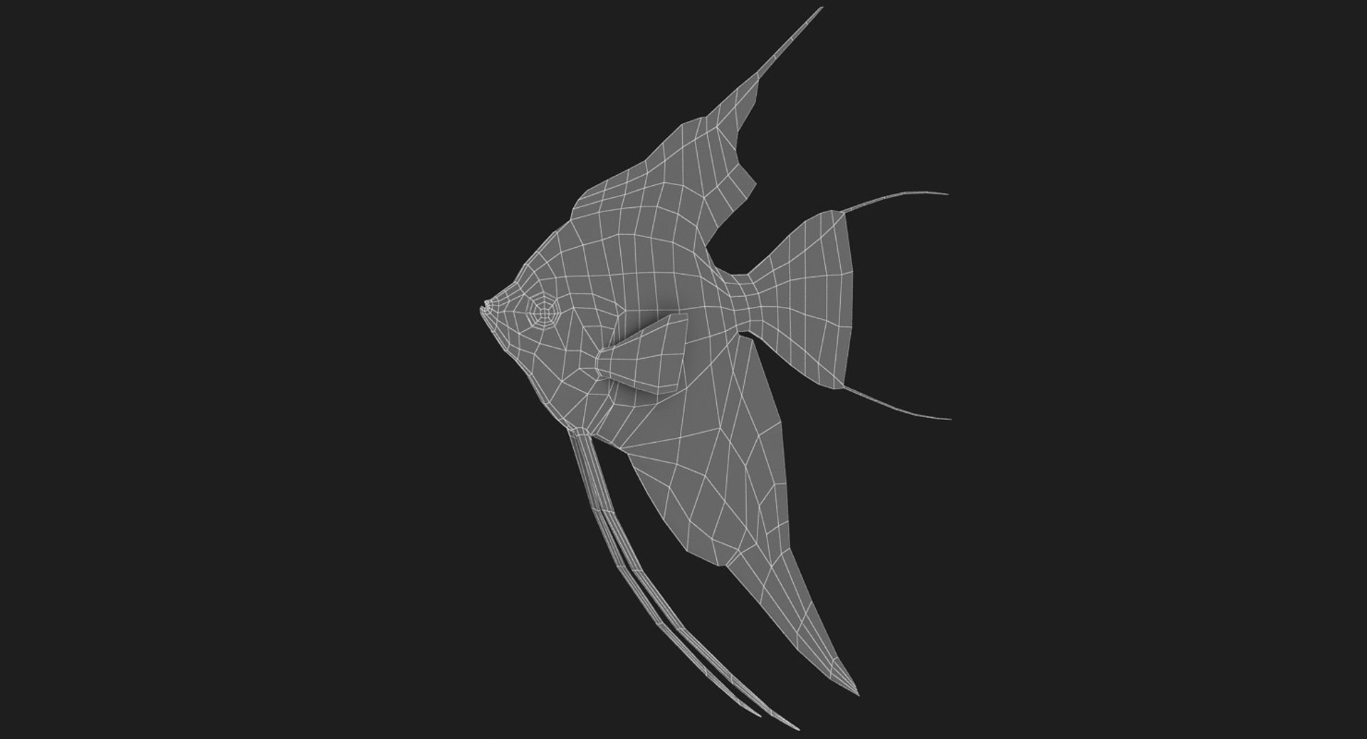 3D model manacapuru angelfish https://p.turbosquid.com/ts-thumb/b6/d9rAWH/C1kMDc0q/ryukingoldfish_rr20/jpg/1525605213/1920x1080/fit_q87/69b395cc7ee81c1f5714d29b745f92a99b24b018/ryukingoldfish_rr20.jpg