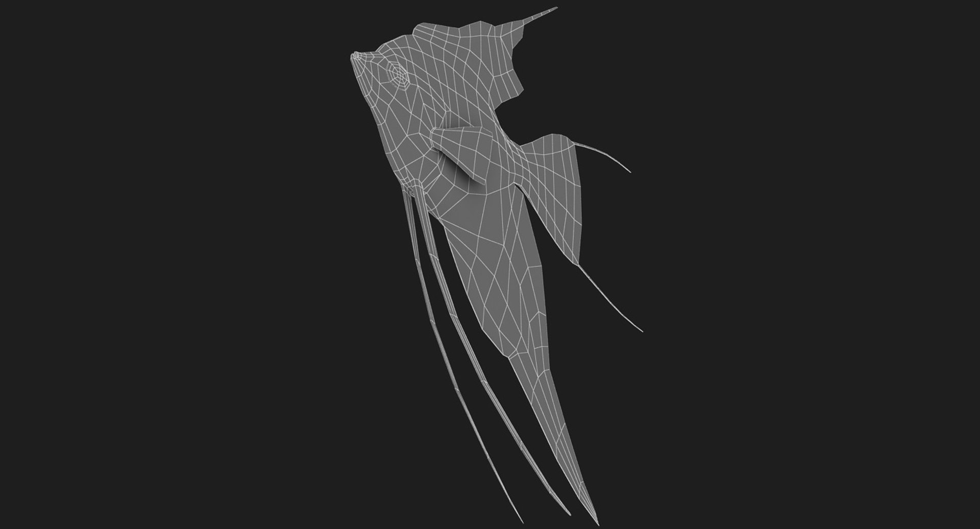 3D model manacapuru angelfish https://p.turbosquid.com/ts-thumb/b6/d9rAWH/NzTGvddH/ryukingoldfish_rr22/jpg/1525605213/1920x1080/fit_q87/78ac029f2183eefa6b5b9115722dcbf16ffad9d7/ryukingoldfish_rr22.jpg