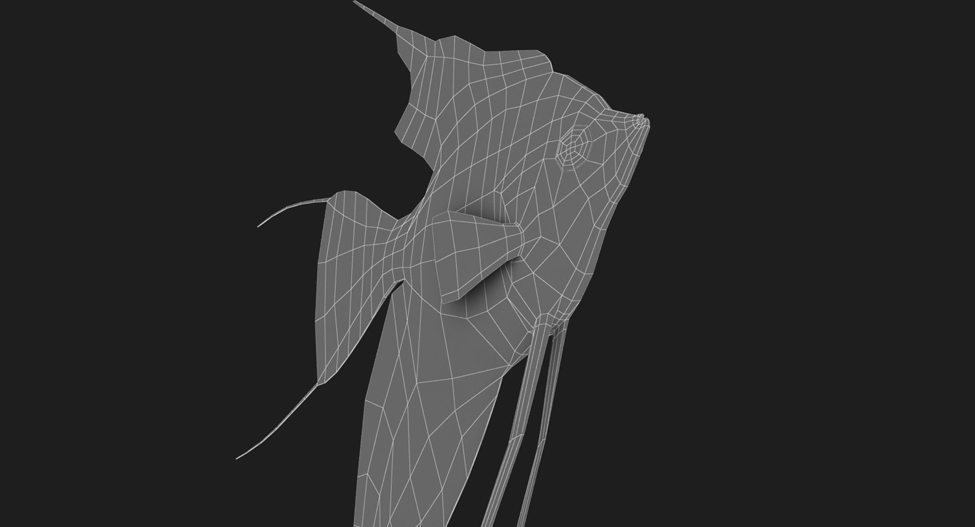 3D model manacapuru angelfish https://p.turbosquid.com/ts-thumb/b6/d9rAWH/SXRPnbFf/ryukingoldfish_rr23/jpg/1525605213/1920x1080/fit_q87/6f03527f1f24e6d14a03639142316ddc8e636b97/ryukingoldfish_rr23.jpg