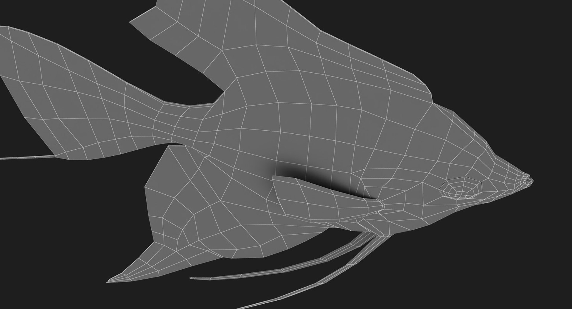 3D model manacapuru angelfish https://p.turbosquid.com/ts-thumb/b6/d9rAWH/TsD087RO/ryukingoldfish_rr19/jpg/1525605213/1920x1080/fit_q87/2a35d7e8d95b4c9962e6ee3f121e6dca55edc363/ryukingoldfish_rr19.jpg