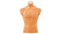Mannequin male torso demonstration