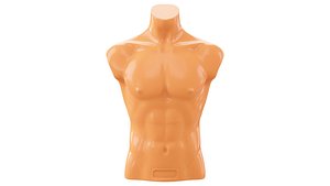 Mannequin male torso demonstration