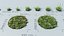 Realistic Grass Pack - CGrass V2