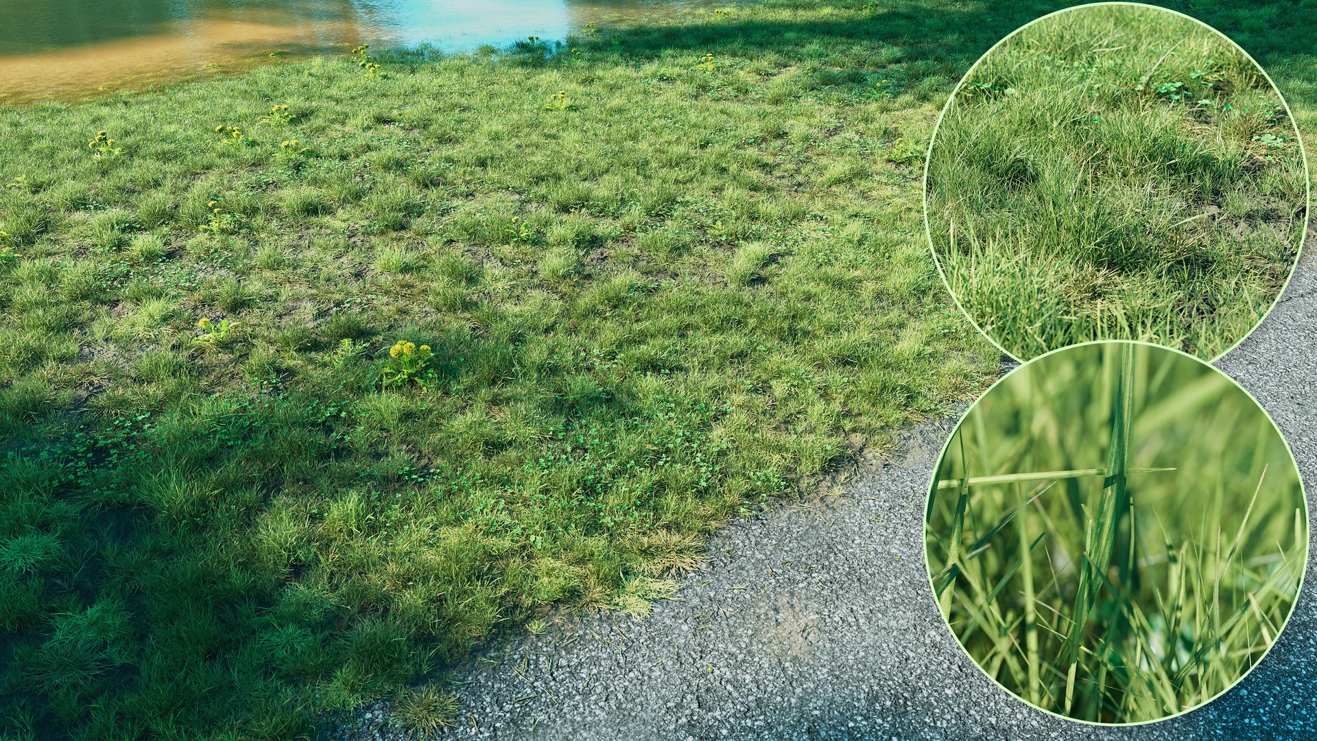 3D Grass Pack 3D https://p.turbosquid.com/ts-thumb/b6/rEPi2o/DN/previewimagecopy/jpg/1718445594/1920x1080/fit_q87/5d2fa4db283165f945f0cae41ee3e15db7999a74/previewimagecopy.jpg