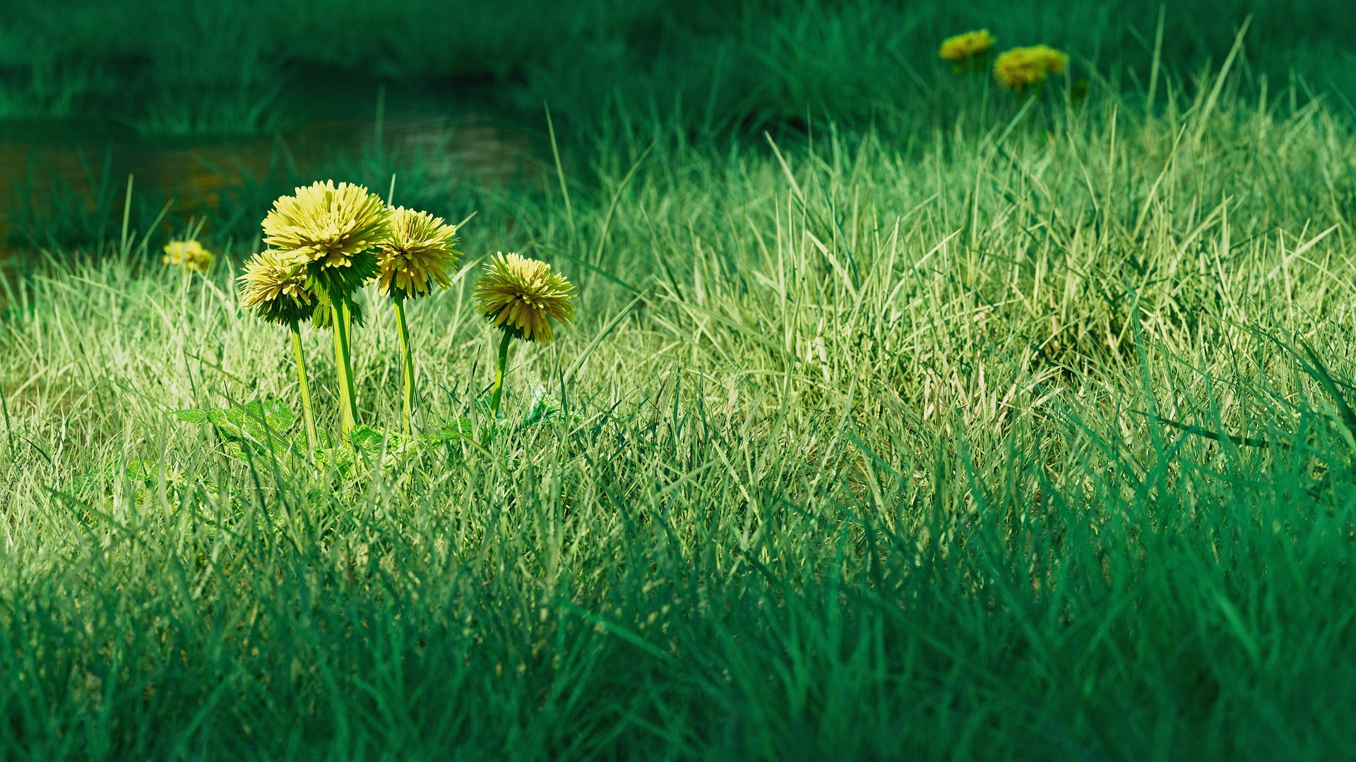 3D Grass Pack 3D https://p.turbosquid.com/ts-thumb/b6/rEPi2o/Ht/cgrass2.0_park_04/jpg/1718445537/1920x1080/fit_q87/c75c3e74887d8abe985e343e08d58b143964e4ca/cgrass2.0_park_04.jpg