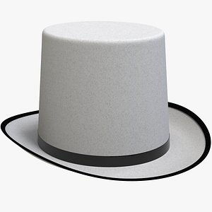 3D White Top Hat