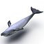 3d dolphin rigged