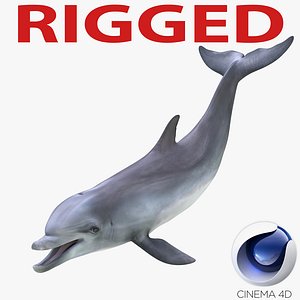 Dolphin Rigged for Cinema 4D