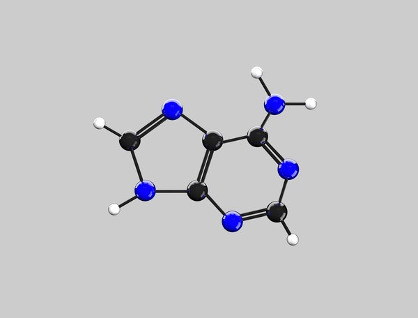 3D ball adenine