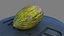 Melon Piel De Sapo
