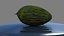 Melon Piel De Sapo