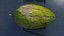 Melon Piel De Sapo