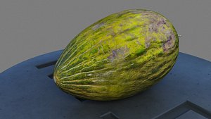 melon piel sapo 3D model