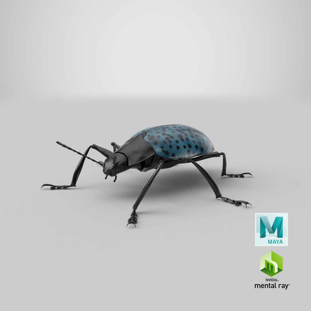 3ds gibbifer californicus beetle 2 https://p.turbosquid.com/ts-thumb/b7/5AEOz9/L2/stemcell_maya_mental_ray_render/png/1663943762/1920x1080/fit_q87/e11e7f7f7cd7b04ba9718feeec4335e12c50fd48/stemcell_maya_mental_ray_render.jpg