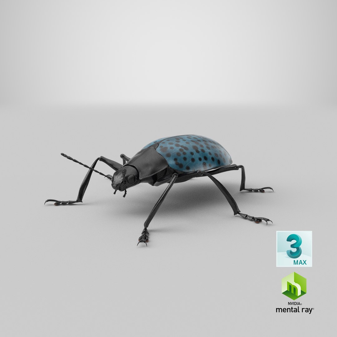 3ds gibbifer californicus beetle 2 https://p.turbosquid.com/ts-thumb/b7/5AEOz9/RD/stemcell_max_mental_ray_render/png/1663943758/1920x1080/fit_q87/e26cad0ec7254eb2a6839fb1bb8e899aea62ece3/stemcell_max_mental_ray_render.jpg