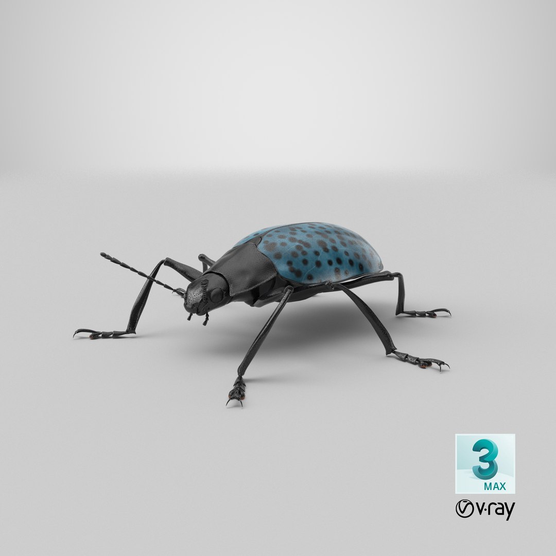 3ds gibbifer californicus beetle 2 https://p.turbosquid.com/ts-thumb/b7/5AEOz9/bI/stemcell_max_vray_render/png/1663943760/1920x1080/fit_q87/e2378c5974e489a8e43aded603e59e817aec0bb6/stemcell_max_vray_render.jpg
