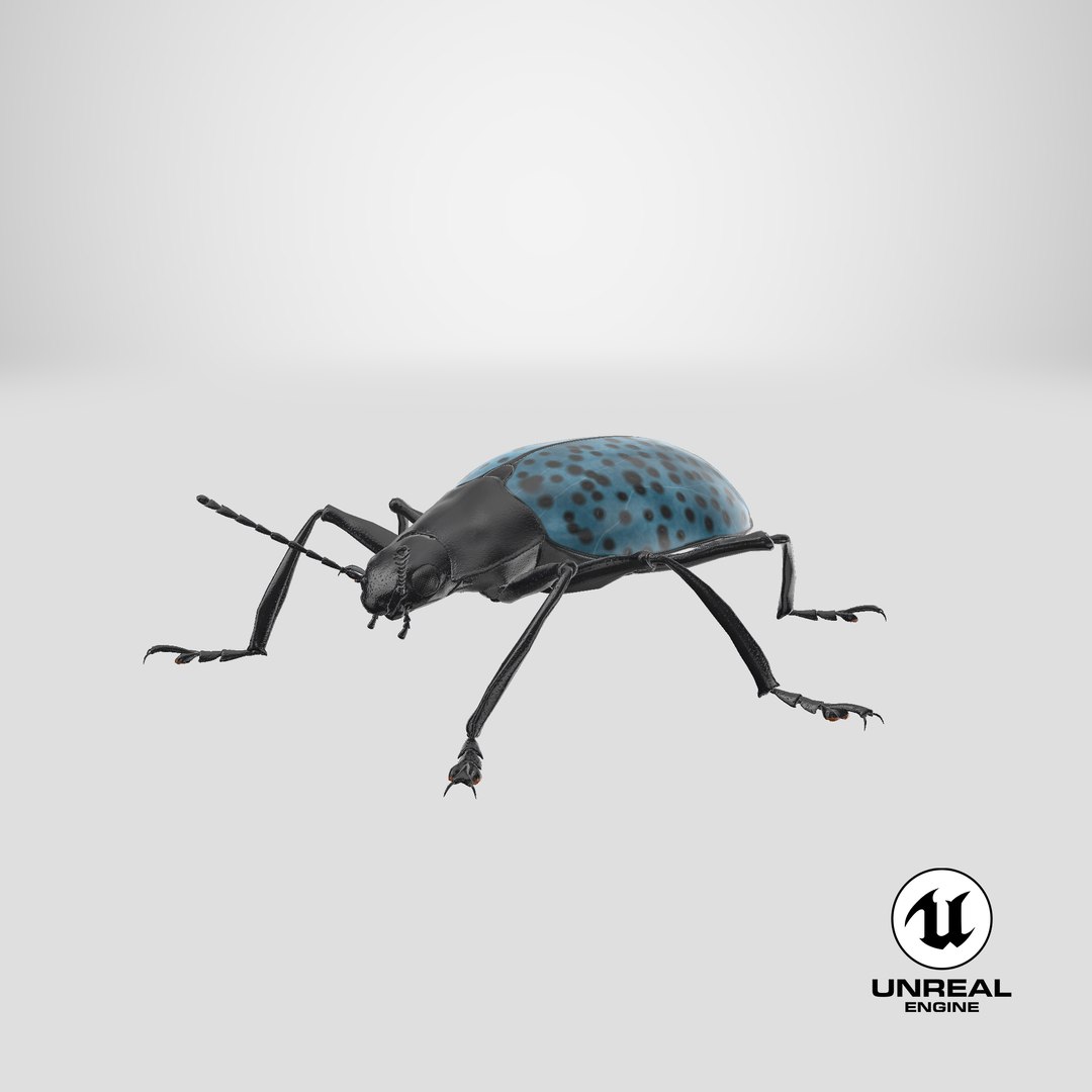 3ds gibbifer californicus beetle 2 https://p.turbosquid.com/ts-thumb/b7/5AEOz9/f6/stemcell_unreal_render/png/1663943756/1920x1080/fit_q87/02697d4ec3d3ac185fe01407582172f8d4434ca8/stemcell_unreal_render.jpg