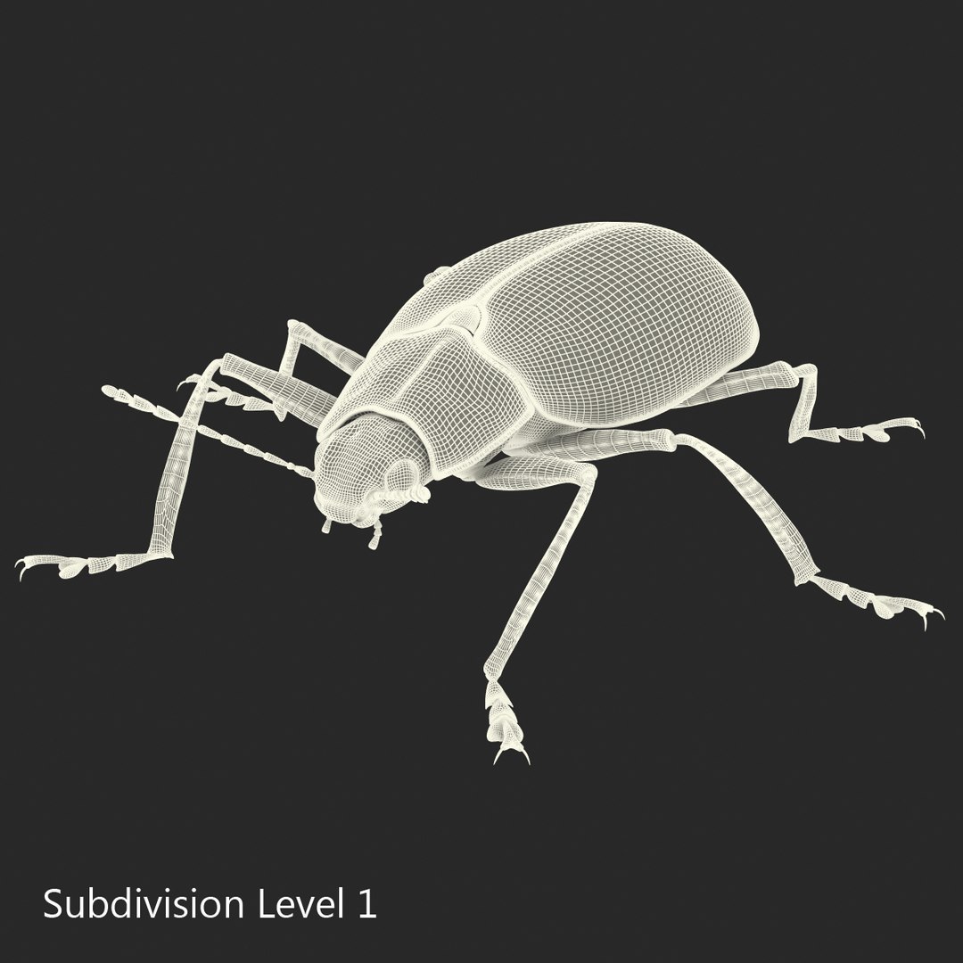3ds gibbifer californicus beetle 2 https://p.turbosquid.com/ts-thumb/b7/5AEOz9/fZaes96w/gibbifercalifornicusbeetle3dmodel18/jpg/1451905976/1920x1080/fit_q87/927fc99c9607f17dd6f6b60475c057cc17ad18cf/gibbifercalifornicusbeetle3dmodel18.jpg