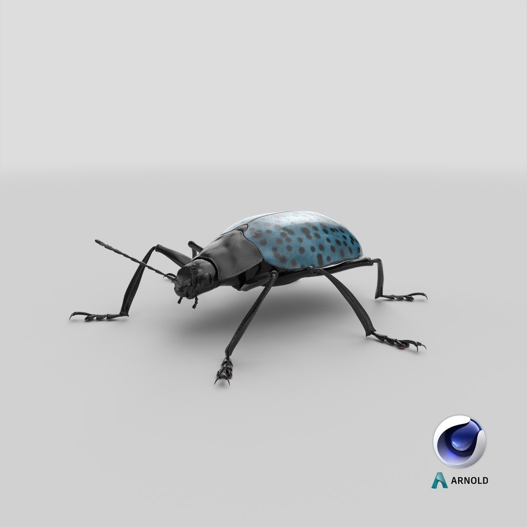 3ds gibbifer californicus beetle 2 https://p.turbosquid.com/ts-thumb/b7/5AEOz9/on/stemcell_cinema_4d_arnold_render/png/1663943753/1920x1080/fit_q87/68be868332ae2ddf8bd3741d704db606e3e864fa/stemcell_cinema_4d_arnold_render.jpg