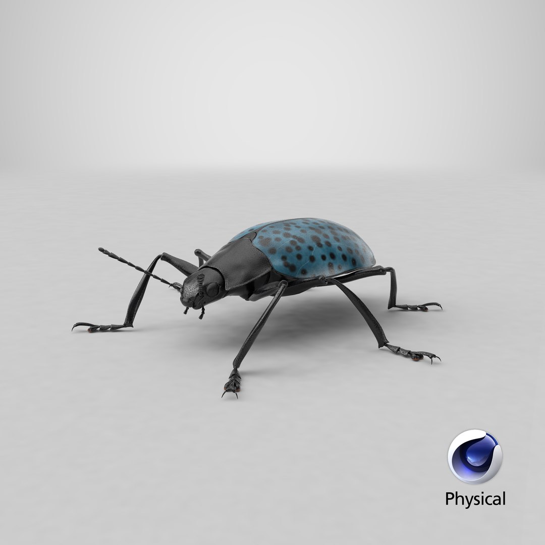 3ds gibbifer californicus beetle 2 https://p.turbosquid.com/ts-thumb/b7/5AEOz9/tR/stemcell_cinema_4d_physical_render/png/1663943752/1920x1080/fit_q87/acd58e8a711048480ba2d19f68380a24eb9bb6e1/stemcell_cinema_4d_physical_render.jpg