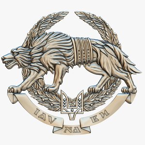 Special Operations Forces Ukraine SSO 3D model