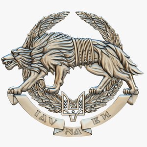 Special Operations Forces Ukraine SSO