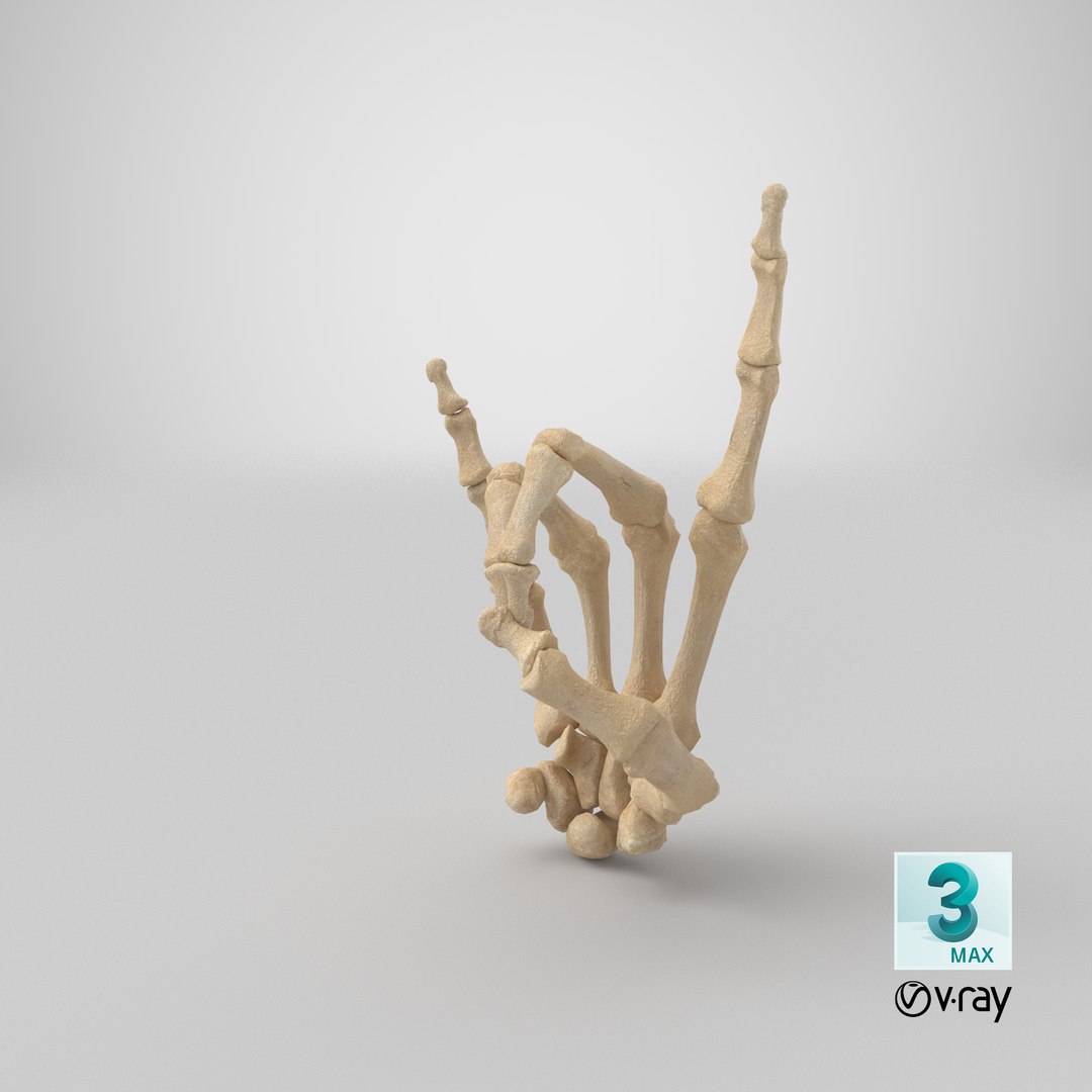 3D human hand bones rock model https://p.turbosquid.com/ts-thumb/b7/E2ZxA6/5T/stemcell_max_vray_render/png/1659722972/1920x1080/fit_q87/de0aea003c459a1c5e97d530efd7b195681bb07f/stemcell_max_vray_render.jpg
