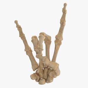3D human hand bones rock model
