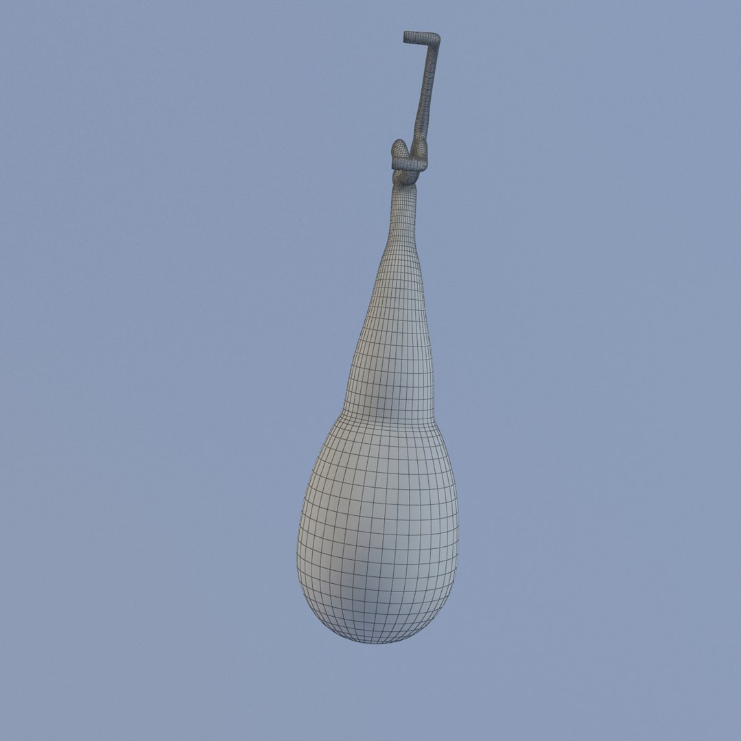 3d Model Gallbladder 2011