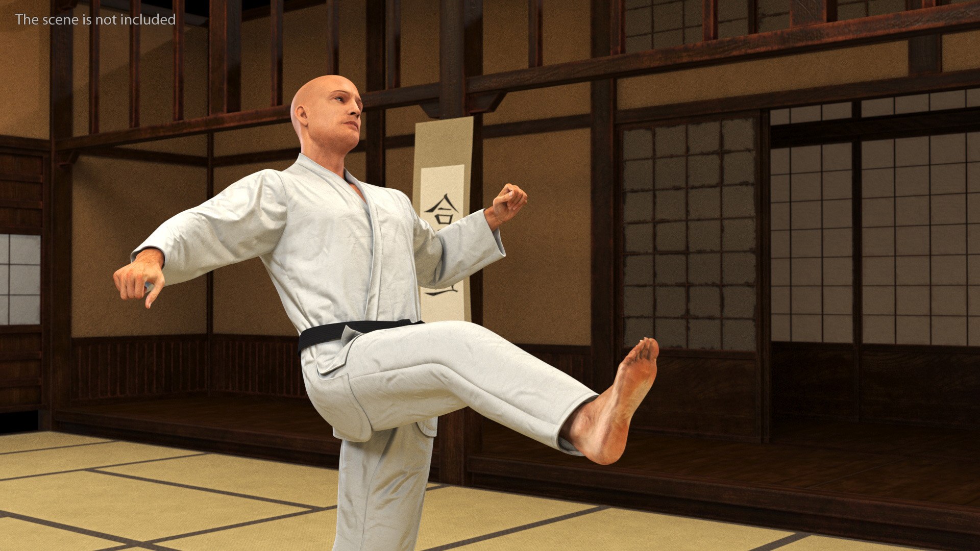Karate Practitioner In Gi With Black Belt Rigged For Maya Model ...