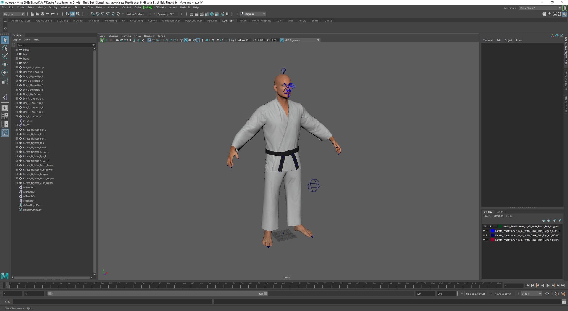 Karate Practitioner In Gi With Black Belt Rigged For Maya Model ...