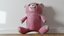 UN OSO DE PELUCHE DE COLOR ROSA BONITO