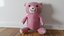 UN OSO DE PELUCHE DE COLOR ROSA BONITO
