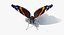 3D vanessa atalanta butterfly rigged
