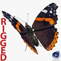 Vanessa Atalanta Butterfly Rigged for Cinema 4D