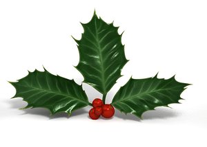 Berries and leaves