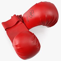 Karate Gloves Lying Red