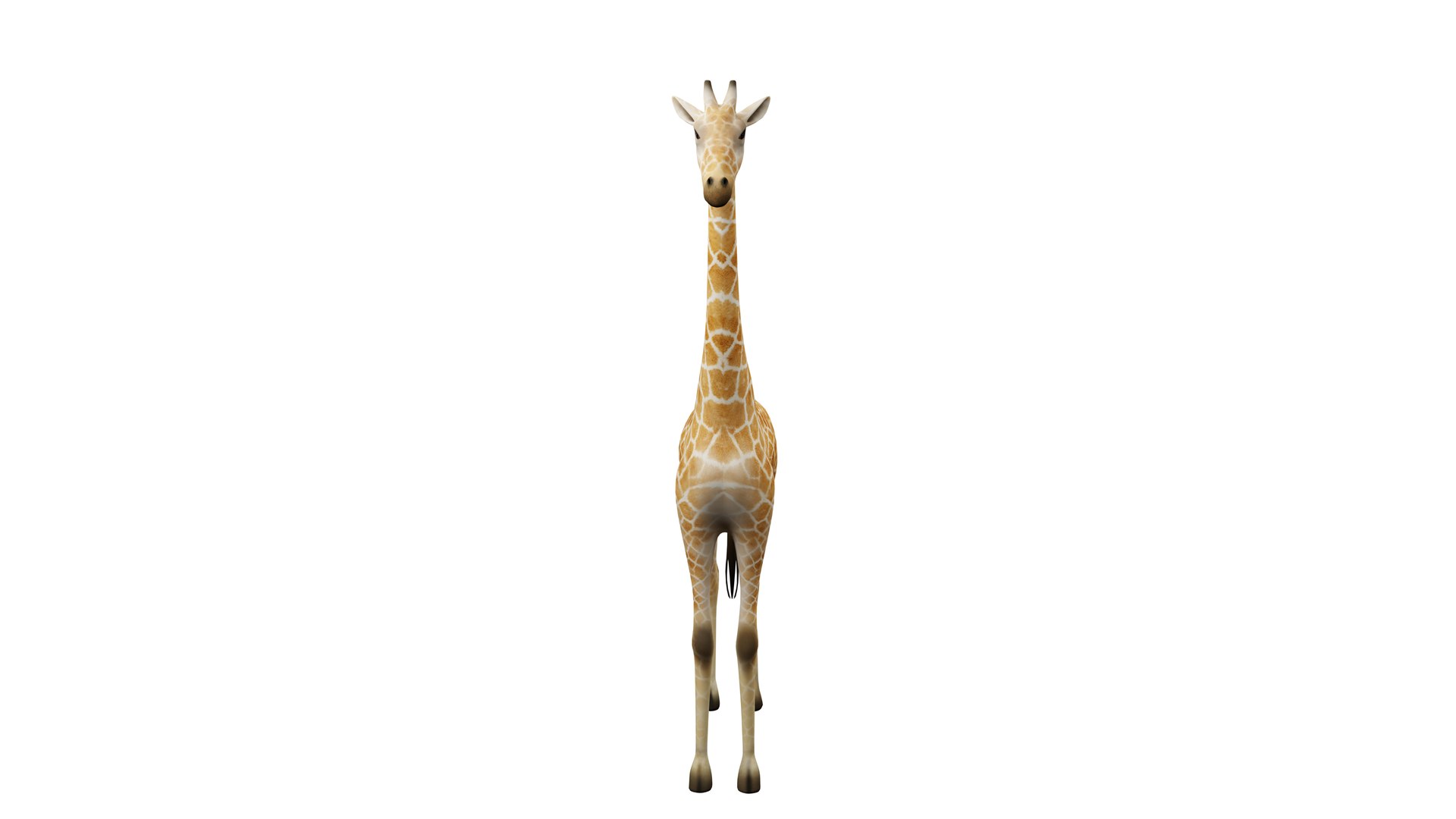 Giraffe Static Pose 3D Model Realistic Proportions Clean Topology model https://p.turbosquid.com/ts-thumb/b8/A6cZxs/6D/03/png/1766402198/1920x1080/fit_q87/aeb80ba72711086bf653b502c18a88467e81151d/03.jpg