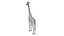 Giraffe – Statisches 3D-Modell – Realistische Proportionen – Saubere Topologie