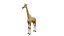 Giraffe – Statisches 3D-Modell – Realistische Proportionen – Saubere Topologie