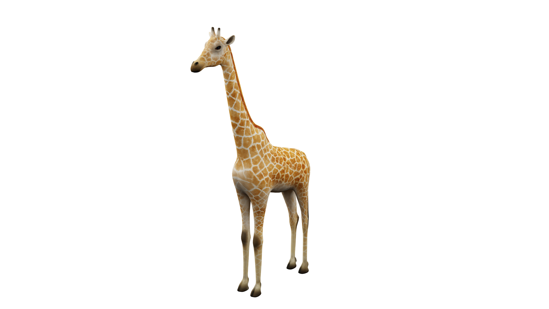 Giraffe Static Pose 3D Model Realistic Proportions Clean Topology model https://p.turbosquid.com/ts-thumb/b8/A6cZxs/Xf/giraffe/png/1766404785/1920x1080/turn_fit_q99/4d75f3ae6d77da1b9175751248754399426b3576/giraffe-1.jpg