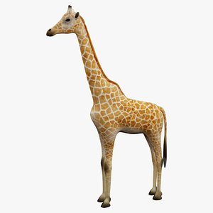 Giraffe Static Pose 3D Model Realistic Proportions Clean Topology