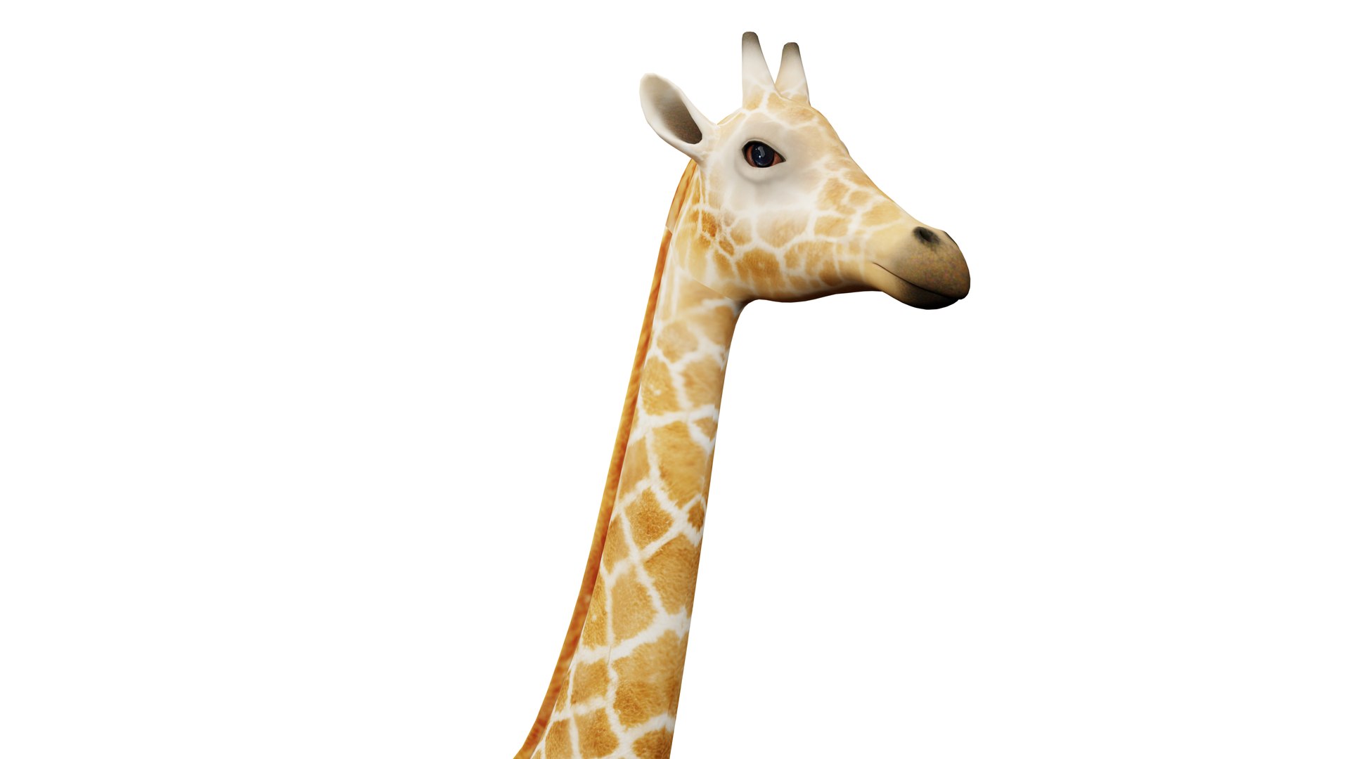 Giraffe Static Pose 3D Model Realistic Proportions Clean Topology model https://p.turbosquid.com/ts-thumb/b8/A6cZxs/rY/06/png/1766402190/1920x1080/fit_q87/034063300eb22b8870c58e498ae3ce20b2437b6b/06.jpg
