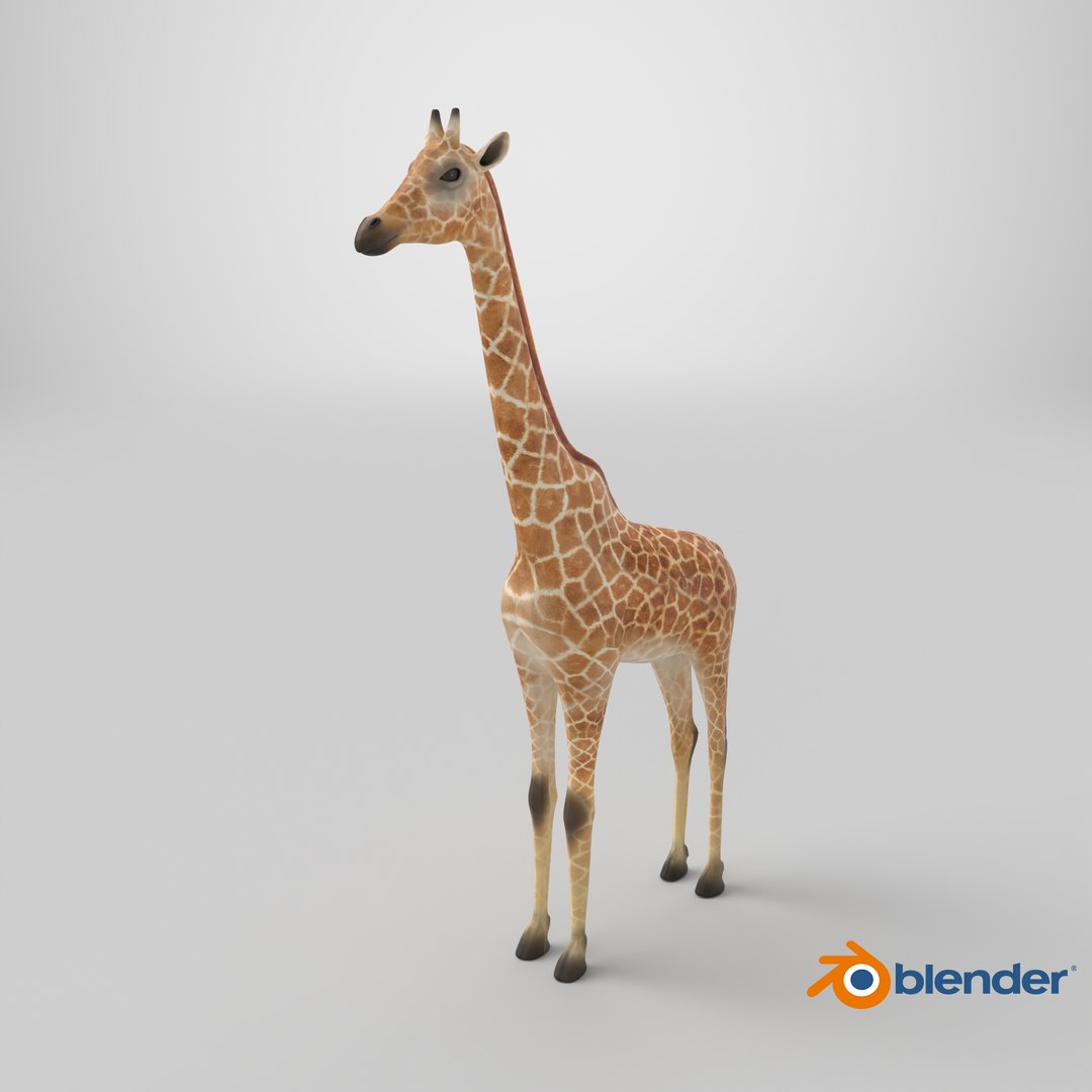 Giraffe Static Pose 3D Model Realistic Proportions Clean Topology model https://p.turbosquid.com/ts-thumb/b8/A6cZxs/tI/stemcell_blender_cycles_render/png/1767631227/1920x1080/fit_q87/7ed53bc6a40e15df3630206fe7fe857d536e3ff7/stemcell_blender_cycles_render.jpg