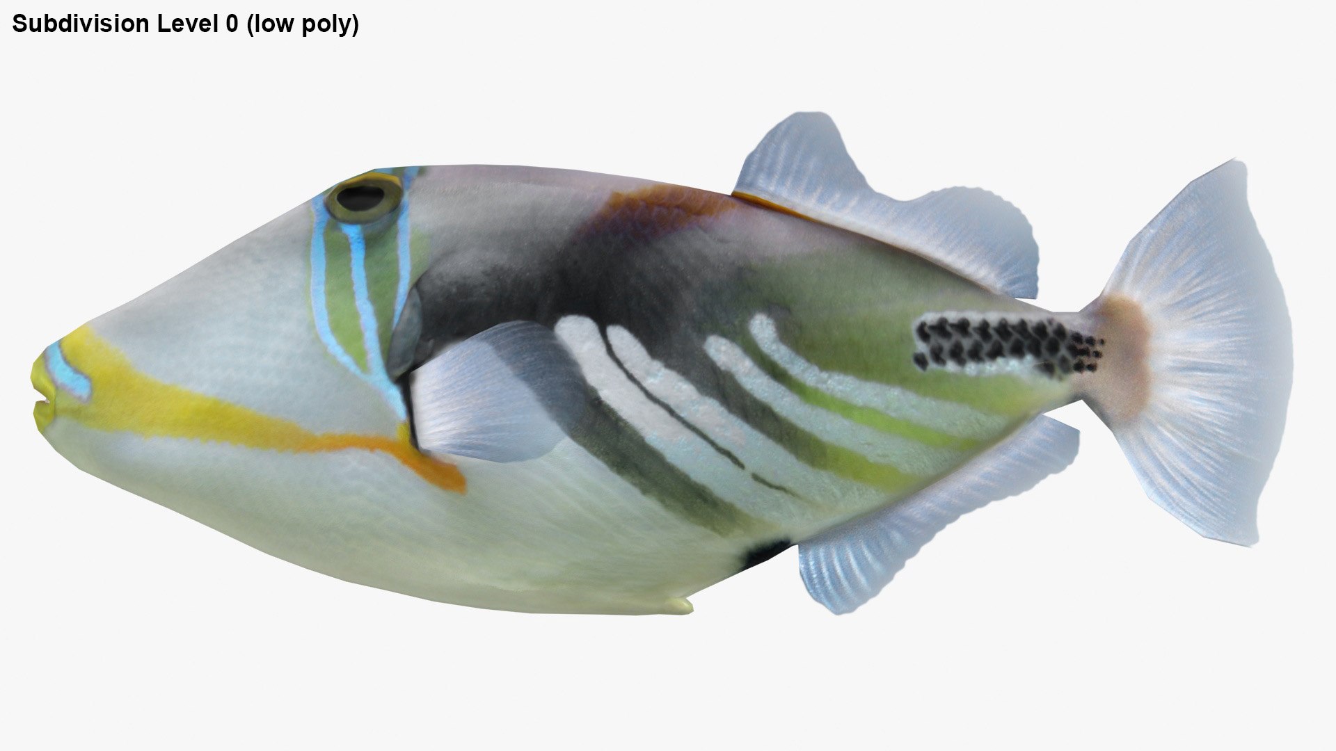 triggerfish scanline 3D model https://p.turbosquid.com/ts-thumb/b8/E4audL/KFhzc8lt/lemon_rr_27/jpg/1581436509/1920x1080/fit_q87/17d45a87d292ebdfa9aa19213802df2c09c72bda/lemon_rr_27.jpg