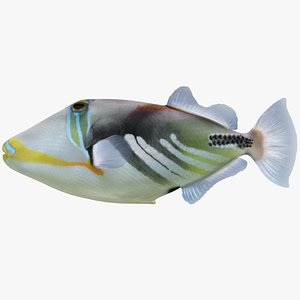 triggerfish scanline 3D model