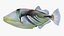 Triggerfish